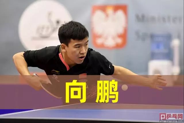 绩证明了自 绩证明了自