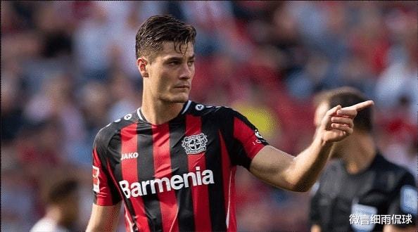 毛球队整体 毛球队整体