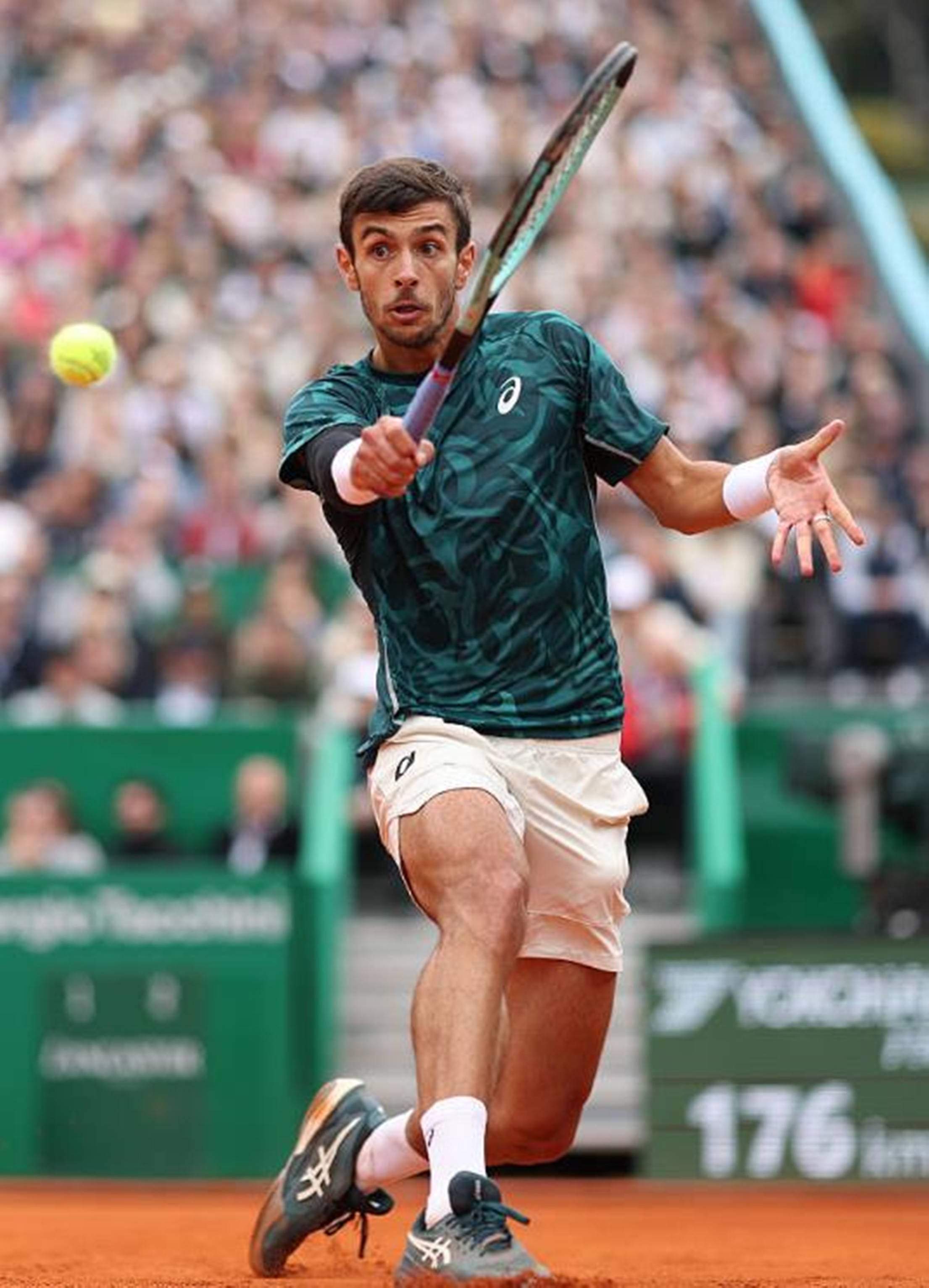 历城五中和 历城五中和