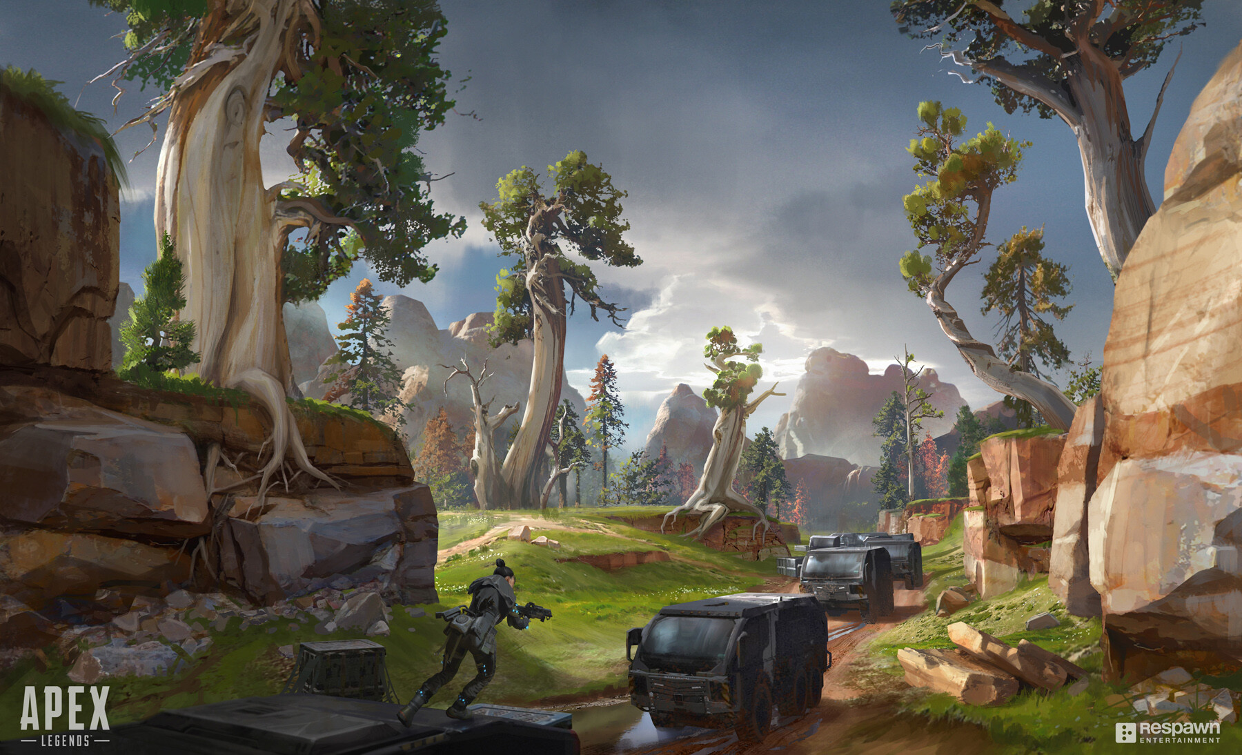 影像学与功 影像学与功